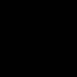 Meet your Posher, Noah